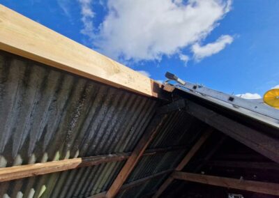 replacement rafters